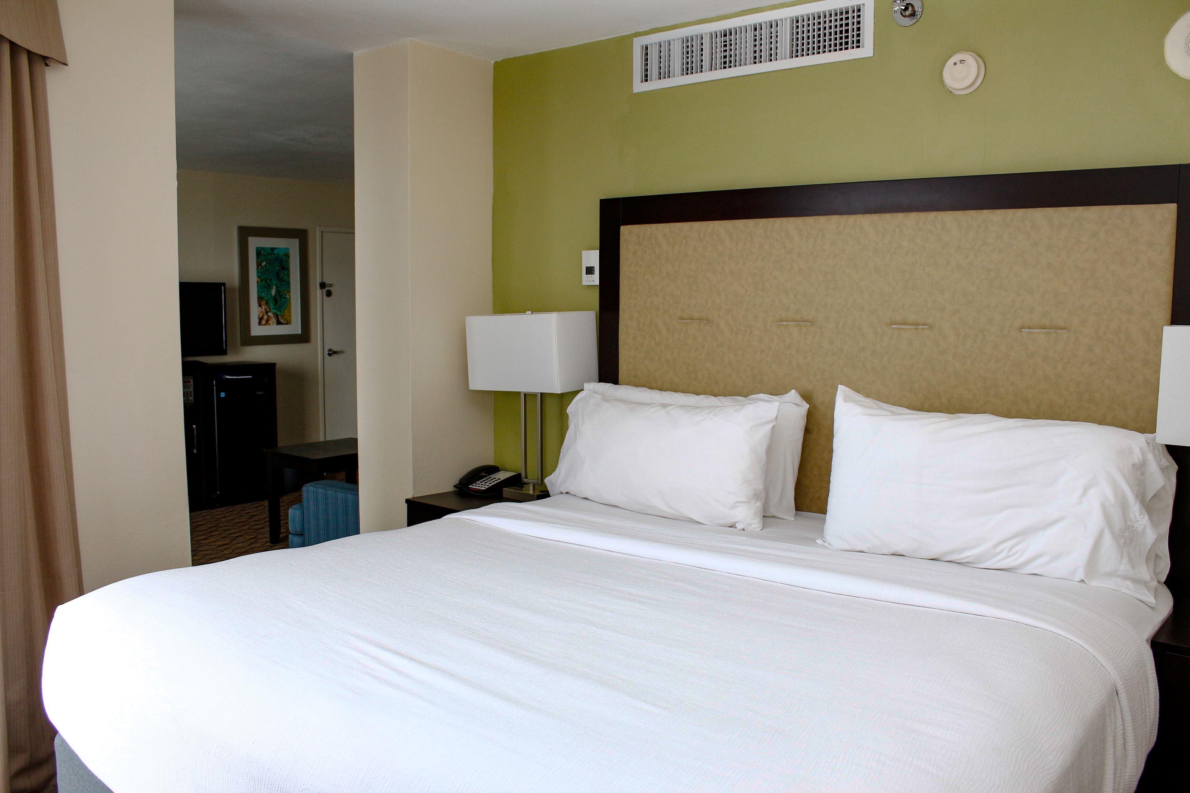 Holiday Inn Corpus Christi Downtown Marina By Ihg Bagian luar foto