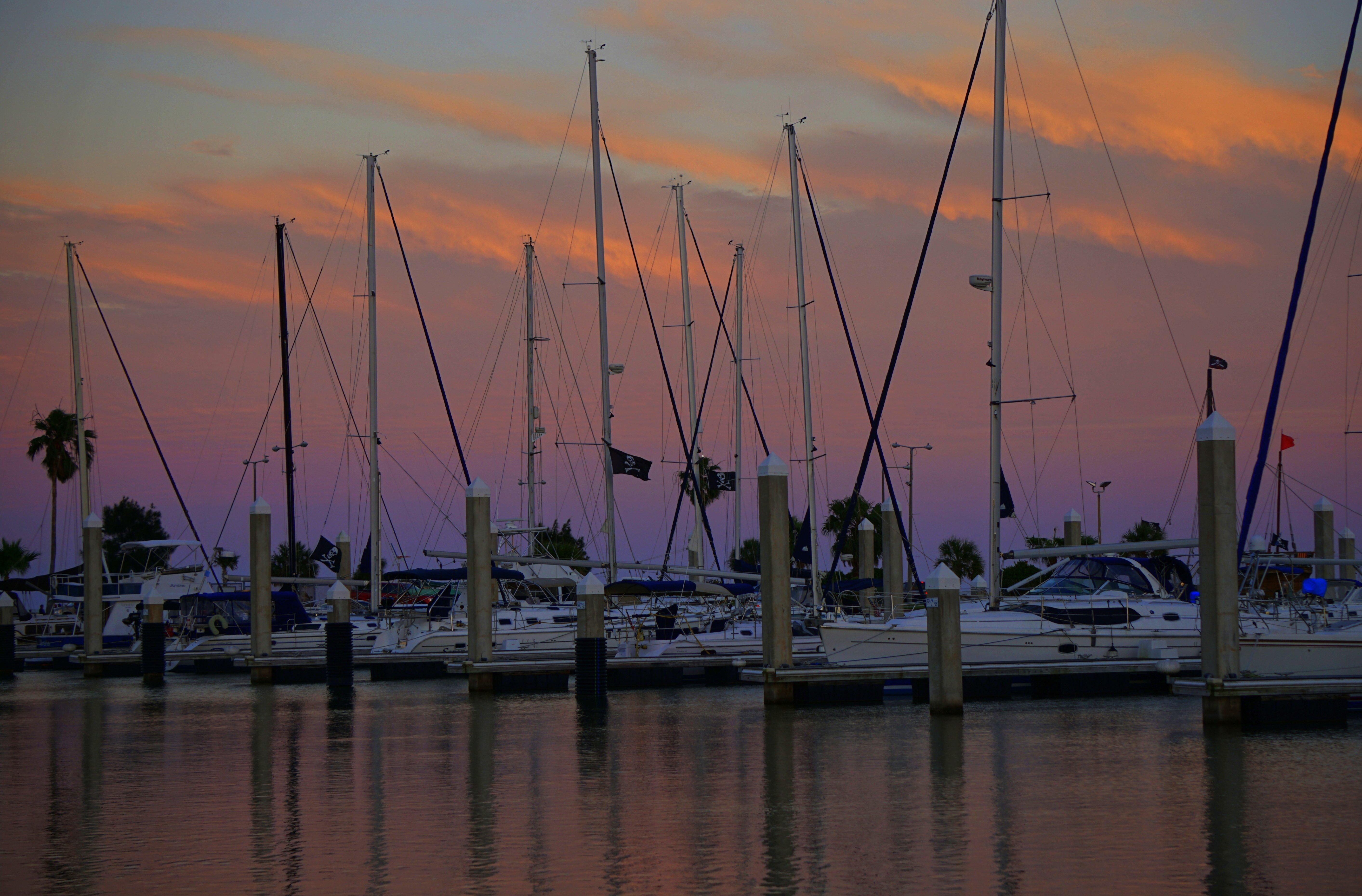 Holiday Inn Corpus Christi Downtown Marina By Ihg Bagian luar foto