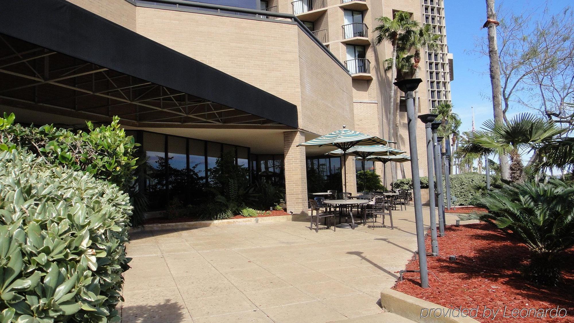Holiday Inn Corpus Christi Downtown Marina By Ihg Bagian luar foto